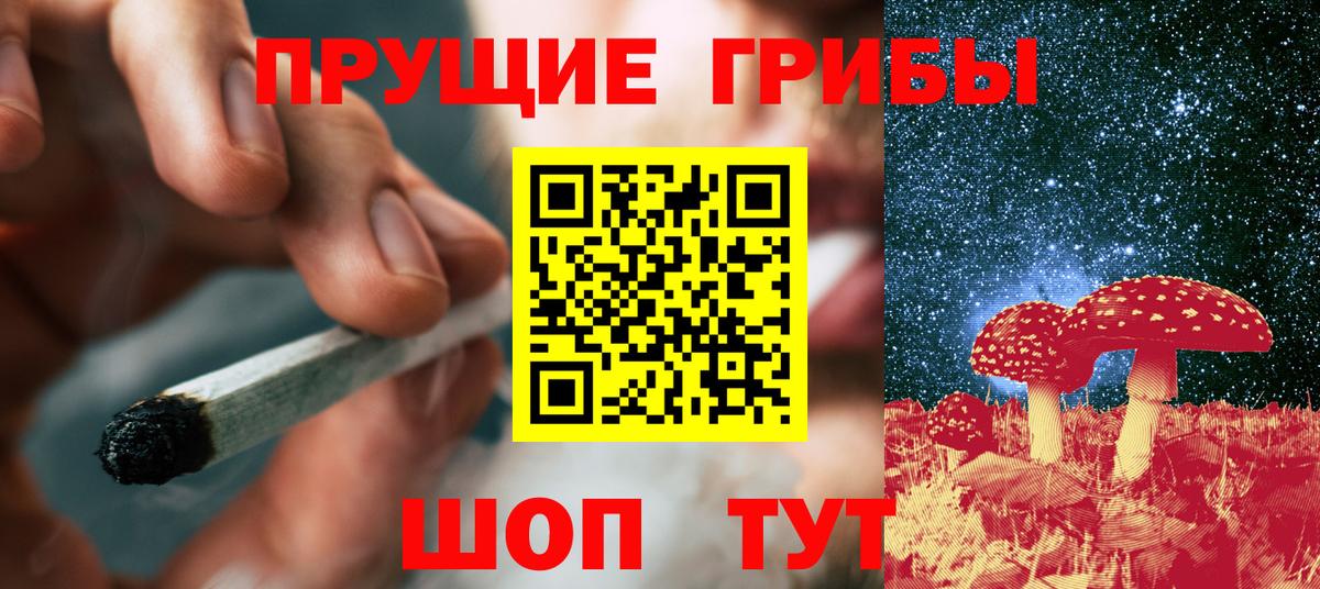 закладки  Галлюциногенные грибы прущие грибы  Вход с VPN  Тулун 
