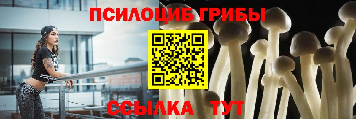 Псилоцибиновые грибы прущие грибы Тулун